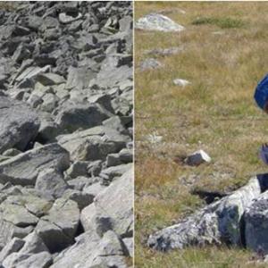 Несломимият дух на будните българи