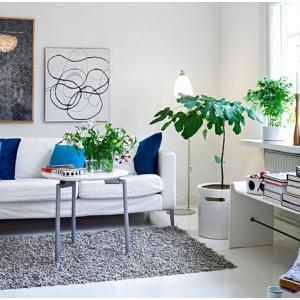 Добавете "живи" цветове