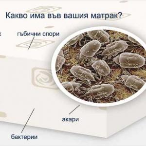 Защо е важно да почистваме матрака?