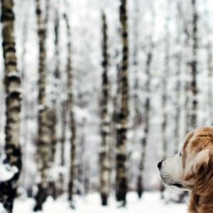 Температура и околна среда