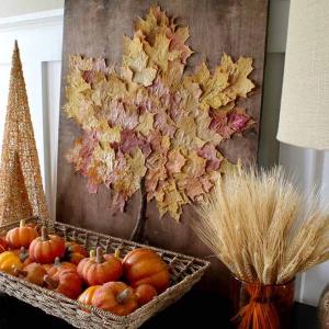 Накрая някои специално препоръки