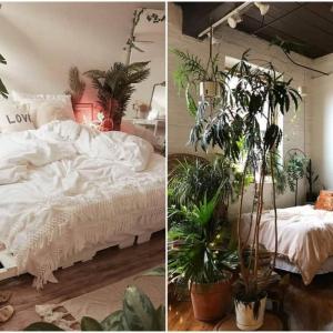 Екзотичните цветя са завършекът, от който се нуждаете!