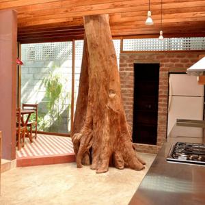 Главата на семейството