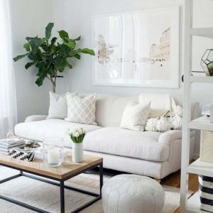 Бяло и компактно