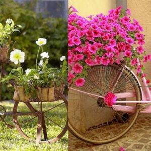 Цветна феерия на две гуми