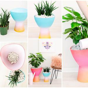 Направи си сам творение - 2 саксии в 1