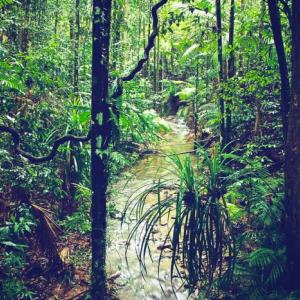 Национален парк Дейнтри, Куинсленд