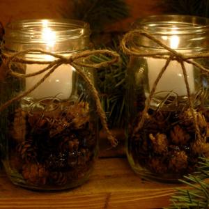 Прегръдка от шишарки