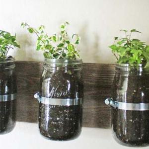 Подправки в стъклени буркани