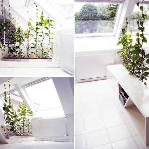 Поставете оригинален цветарник между стаите за създаването на артистичен облик на дома