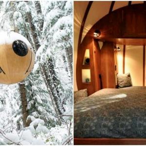 Модерна визия за традиционната къщичка на дърво