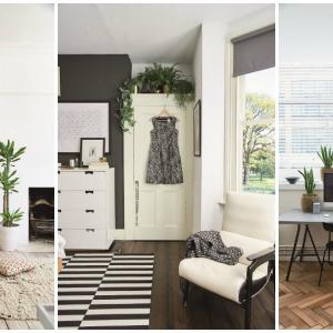 Адаптация и грижа за растенията ви