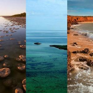 Заливът на акулите, Западна Австралия