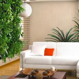 Изберете правилно място за вертикална градина