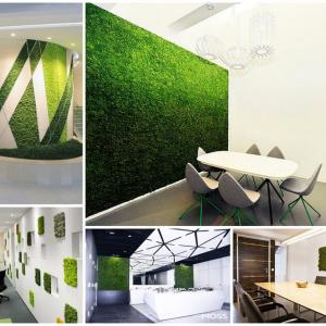 Зелена декорация в офиса