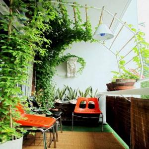 Простор от живи растения