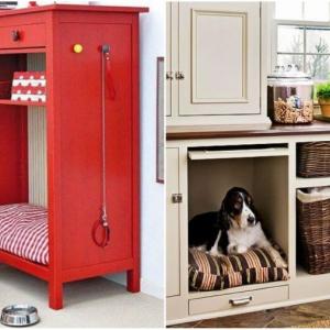 Кучешко царство, побрано в шкаф