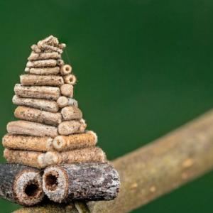 Уютна дървена къщичка