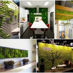 Мъх навсякъде, да се хванем за зелено