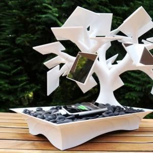 Нетрадиционно дърво бонсай