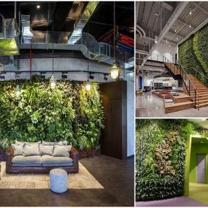 Създайте пространство за сплотяване на екипа с помощта на зелената стена