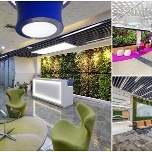 Красиво и живо допълнение