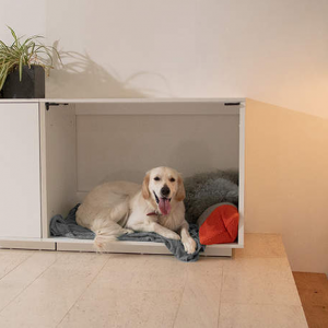 Къщичка за домашния любимец у дома