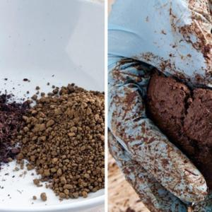 Стъпка 1: Подгответе почвата