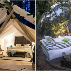 Вълшебни сънища в гората