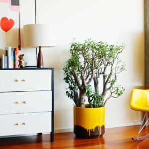 Жълто, свежо, интересно