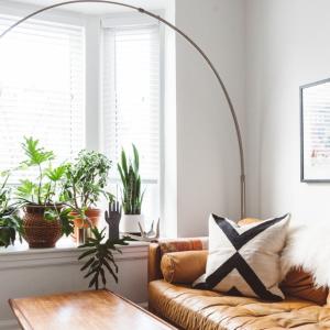 5 красиви растения, които допринасят за чистия въздух у дома