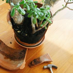 Преместването