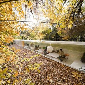 Подземна основа за необикновения офис