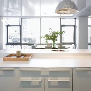 Еднопластови плотове