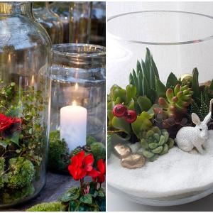 Коледен терариум