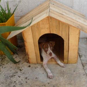 Кучешка колибка от палети