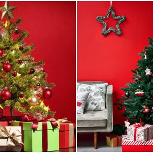 Ярки цветове