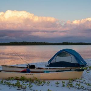 Готови ли сте за разходка с лодка?