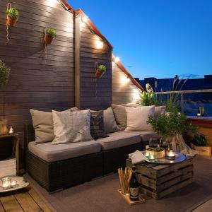 Чиста съвест