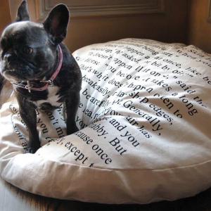 Читателски кът за домашния любимец