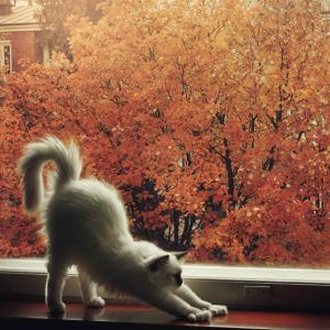 Впечатлете с уникална гледка