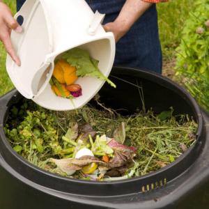 Защо да си направим компост?