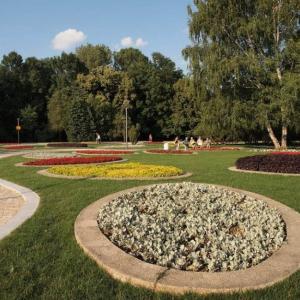 План за действие