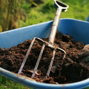 От какво се прави компост?