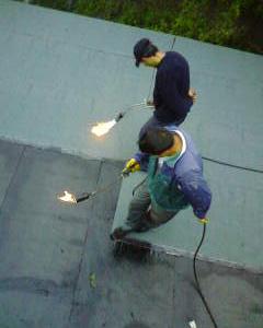 Снимка  от Трайко Сотиров