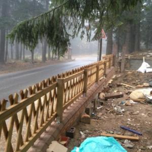 Снимка  от Георги Чолаков