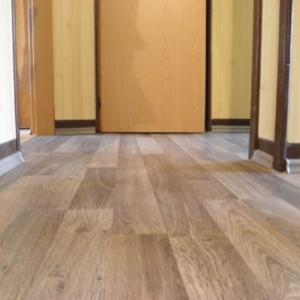 Снимка  от Ицо Мицовски