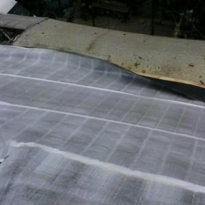 Снимка  от Стоян Нанов