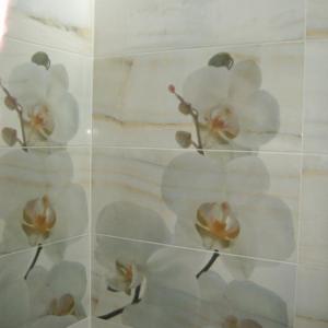 Снимка  от Димитър Тошков