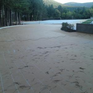 Снимка  от Ивелин Грозев